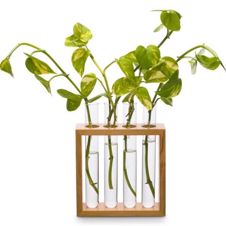 Supertek® Square Plant Holder