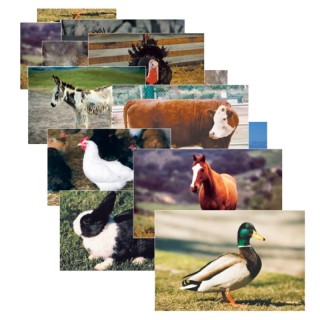 Stages Learning Materials Farm Animal Real Life Learning Poster Set, Set of 10