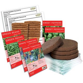 Fernroot Growing Vegetables Classroom Kit