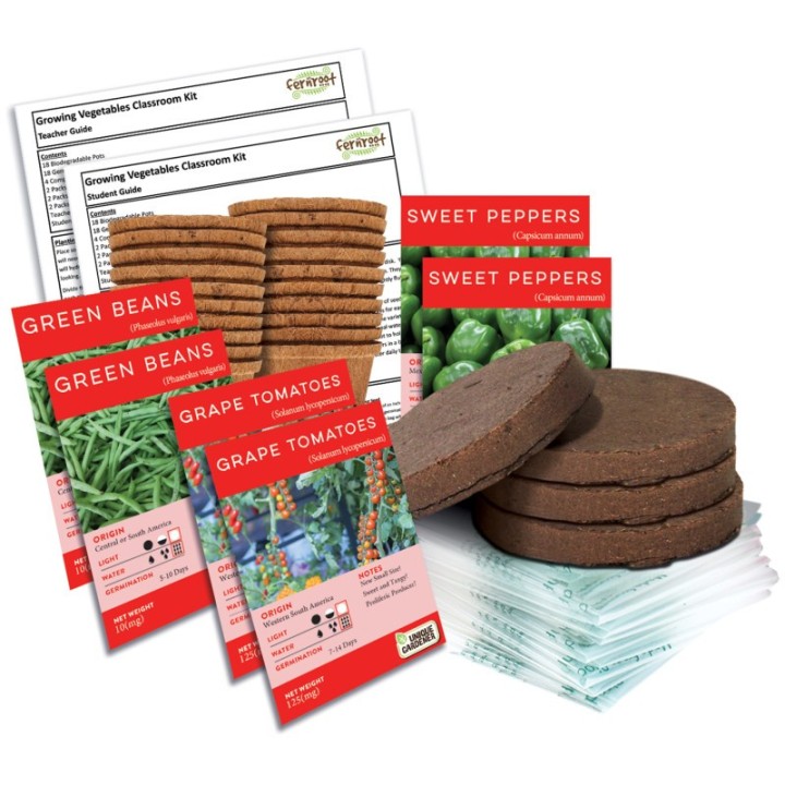 Fernroot Growing Vegetables Classroom Kit