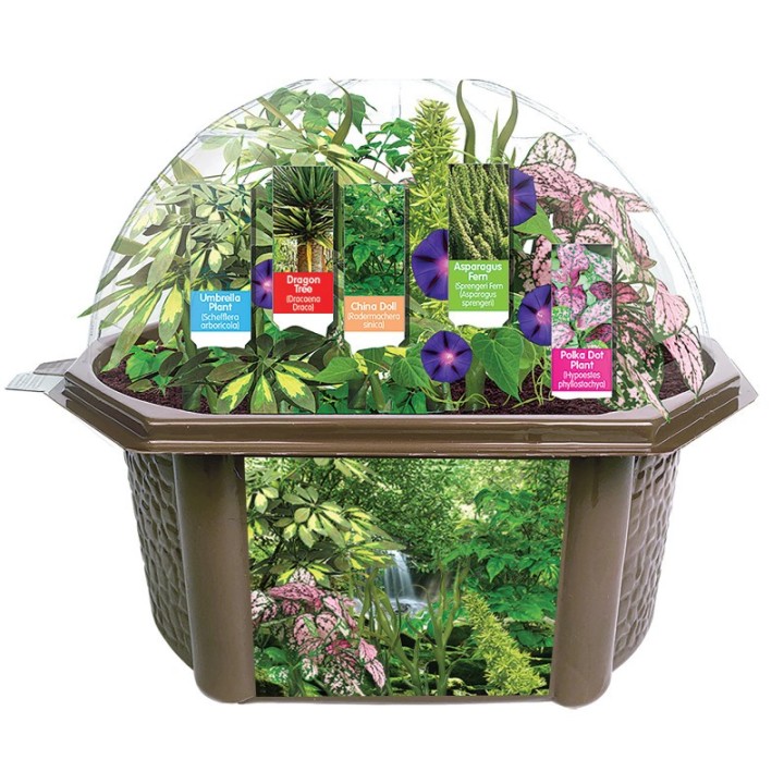 Fernroot Rainforest Biosphere