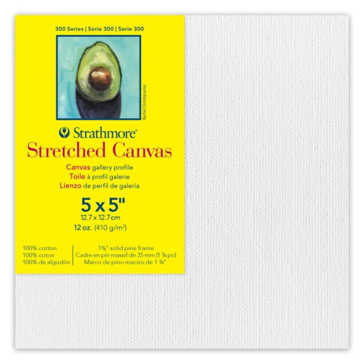 Strathmore 300 Series Gallery Stretched Canvas, 5x5 inch