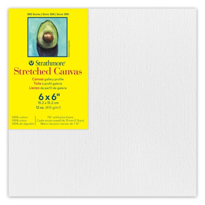 Strathmore 300 Series Gallery Stretched Canvas, 6x6 inch