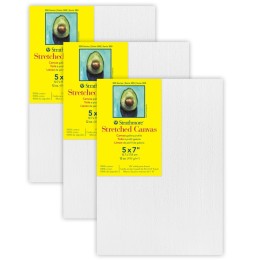 Strathmore 300 Series Gallery Stretched Canvas, 5x7 inch, Pack of 3