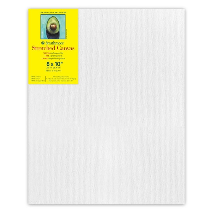 Strathmore 300 Series Gallery Stretched Canvas, 8x10 inch