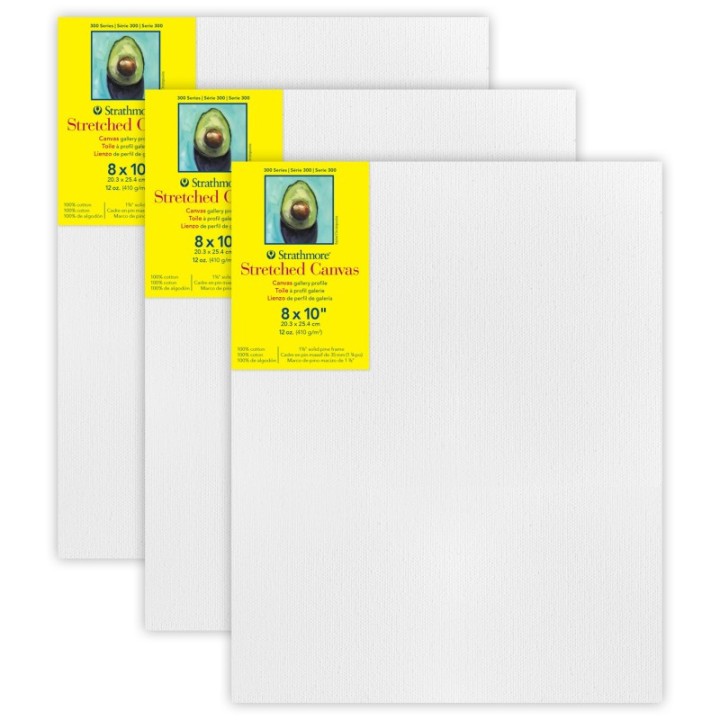 Strathmore 300 Series Gallery Stretched Canvas, 8x10 inch, Pack of 3