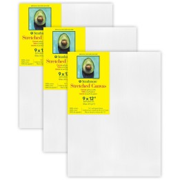 Strathmore 300 Series Gallery Stretched Canvas, 9x12 inch, Pack of 3