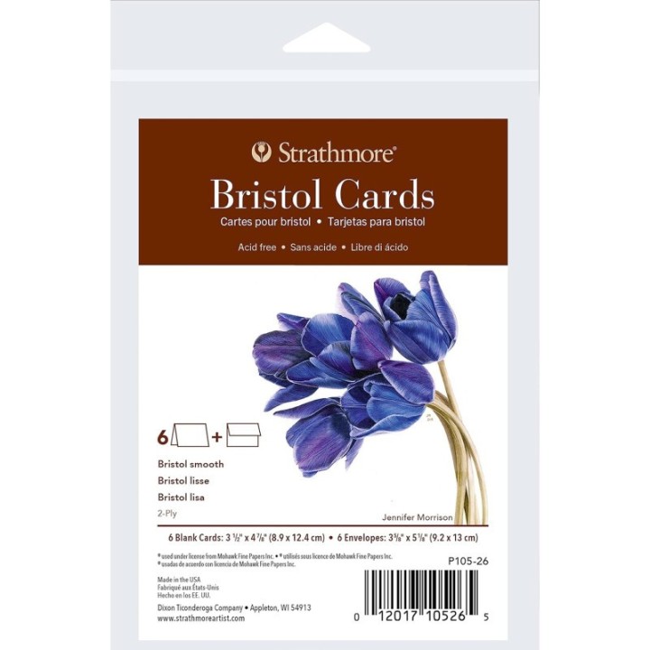 Strathmore 400 Series Bristol Cards & Envelopes, Anniversary Size, 3.5x4.875 inch, 6 Pack