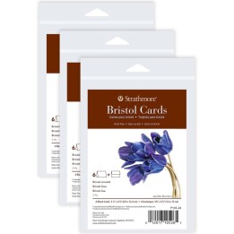 Strathmore 400 Series Bristol Cards & Envelopes, Anniversary Size, 3.5x4.875 inch, 6 Per Pack, 3 Packs