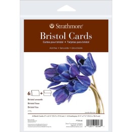 Strathmore 400 Series Bristol Cards & Envelopes, Full Size, 5x6.875 inch, 6 Pack
