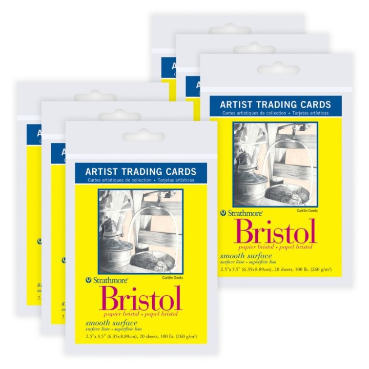Strathmore 300 Series Artist Trading Cards Bristol Paper Pack, Smooth Finish, 2.5x3.5 inch, 20 Sheets Per Pack, 6 Packs