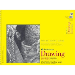 Strathmore 300 Series Drawing Pad, Top Wire Binding, 25 Sheet, 18x24 inch, 1 Count