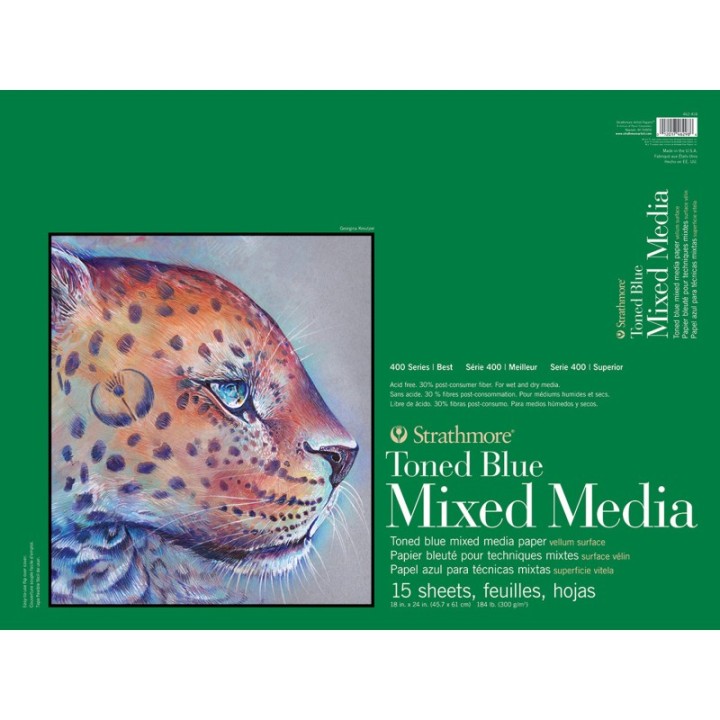 Strathmore 400 Series Mixed Media Pad, Toned Blue, Glue Binding, 15 Sheet, 18x24 inch, 1 Count