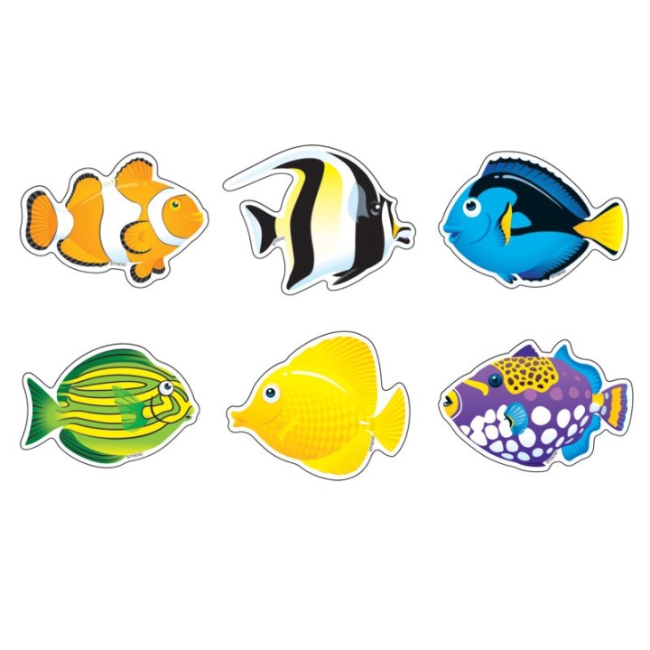 TREND Fish Mini Accents Variety Pack, 36 ct