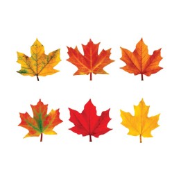 TREND Maple Leaves Mini Accents Variety Pack, 36 ct
