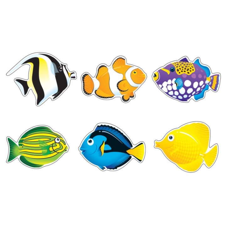 TREND Fish Friends Classic Accents® Variety Pack, 36 ct
