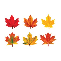 TREND Maple Leaves Classic Accents® Variety Pack, 36 ct