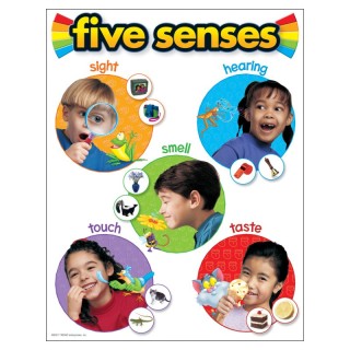 TREND Five Senses Learning Chart, 17" x 22"