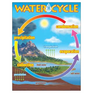 TREND The Water Cycle Learning Chart, 17" x 22"