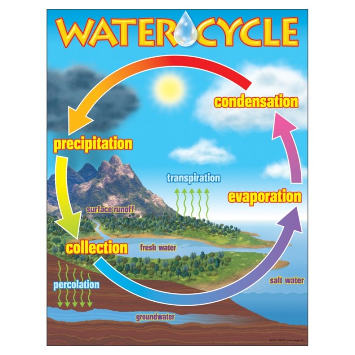 TREND The Water Cycle Learning Chart, 17" x 22"