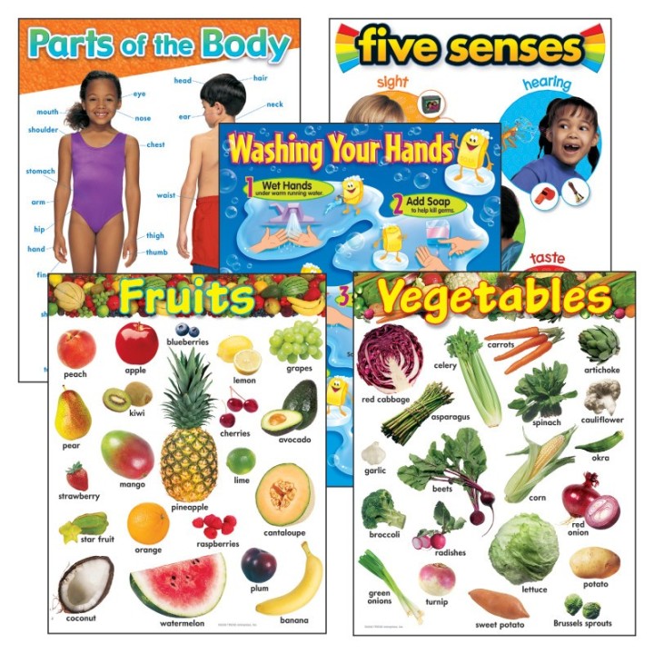 TREND Healthy Living Learning Charts Combo Pack, Set of 5