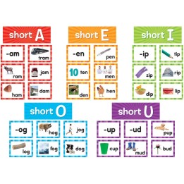 Teacher Created Resources® Short Vowels Pocket Chart Cards, 205 Pieces