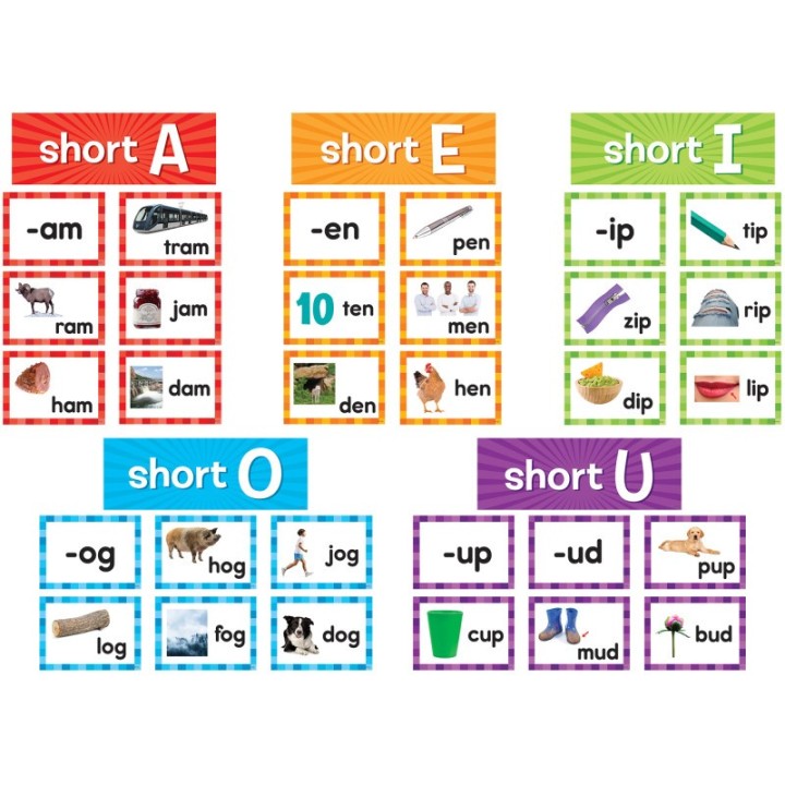 Teacher Created Resources® Short Vowels Pocket Chart Cards, 205 Pieces
