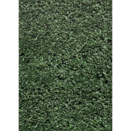 Teacher Created Resources® Better Than Paper® Bulletin Board Roll, 4' x 12', Boxwood Design, 4 Rolls