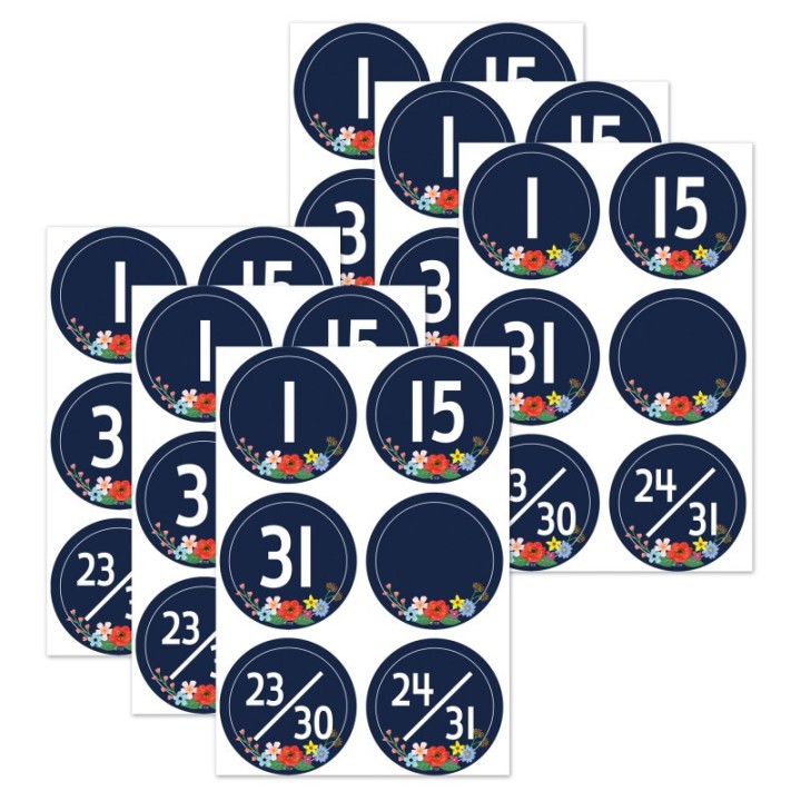 Teacher Created Resources® Wildflowers Calendar Days, 36 Per Pack, 6 Packs