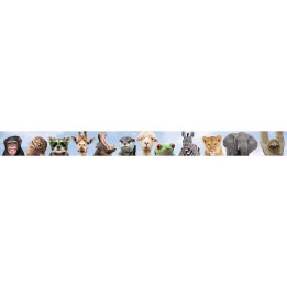 Teacher Created Resources® Go Wild Animals Straight Border Trim, 35 Feet