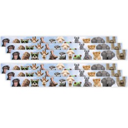 Teacher Created Resources® Go Wild Animals Straight Border Trim, 35 Feet Per Pack, 6 Packs