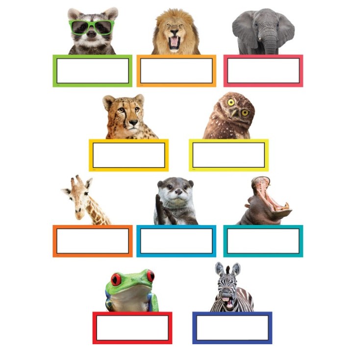 Teacher Created Resources® Go Wild Animals Accents, Pack of 30