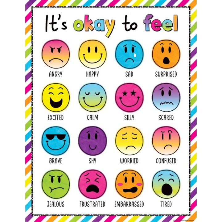 Teacher Created Resources® Brights 4Ever Its Okay To Feel Chart