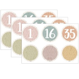 Teacher Created Resources® Everyone is Welcome Numbers Magnetic Accents, 42 Per Pack, 3 Packs