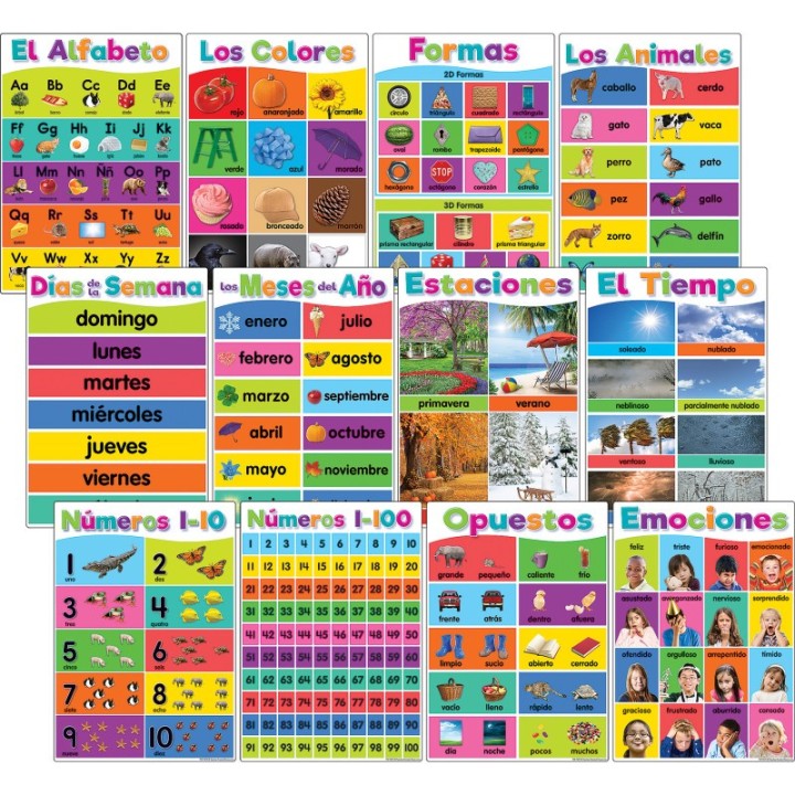 Teacher Created Resources® Spanish Colorful Early Learning Small Poster Pack, 11" x 15-3/4", Pack of 12
