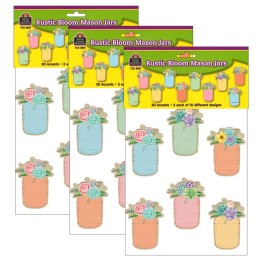 Teacher Created Resources® Rustic Bloom Mason Jars Accents, 30 Per Pack, 3 Packs