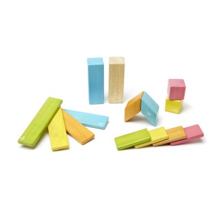 Tegu Magnetic Wooden Blocks, Tints, 14 Pieces