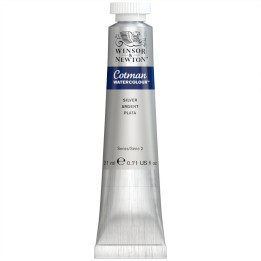 Winsor & Newton Cotman Watercolor Paint, 21 mL Tube, Silver