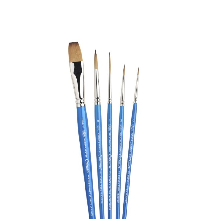 Winsor & Newton Cotman Watercolor Brushes, Set of 5 (Round 0, 2, & 6, Rigger 1, One Stroke 1/2")
