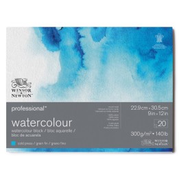 Winsor & Newton Professional Watercolor Block, Cold Press, 9X12 in, 300 gsm (140 lb), 20 Pages