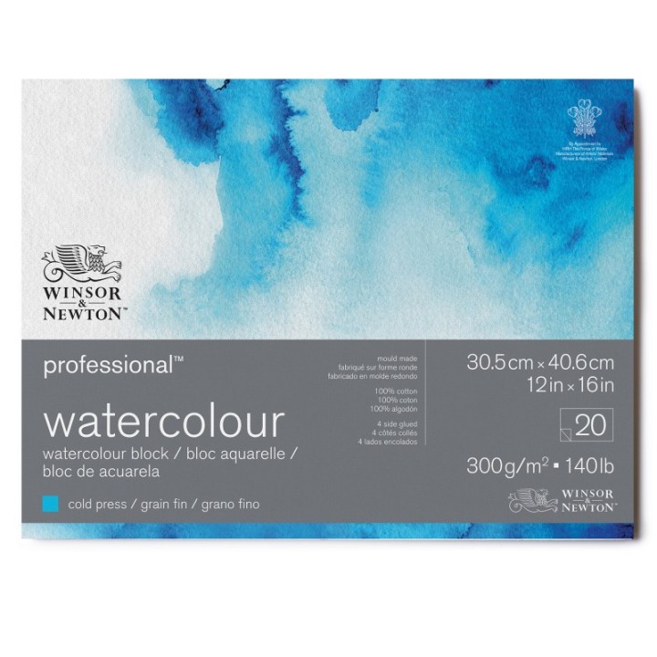 Winsor & Newton Professional Watercolor Block, Cold Press, 12X16 in, 300 gsm (140 lb), 20 Pages
