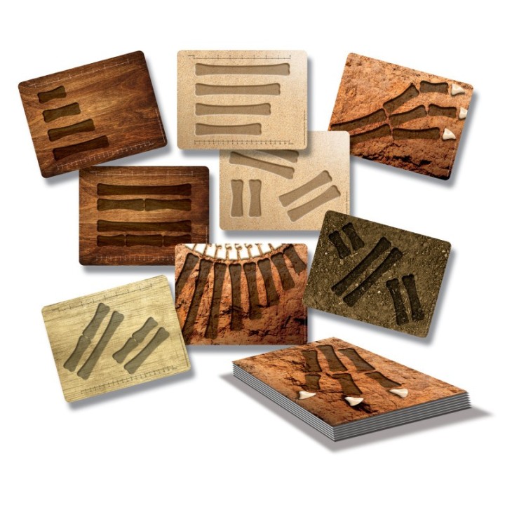 Yellow Door Dinosaur Bones Match and Measure Activity Cards