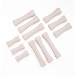 Yellow Door Dinosaur Bones Discovery Set, Pack of 12