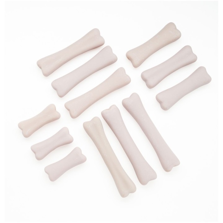 Yellow Door Dinosaur Bones Discovery Set, Pack of 12