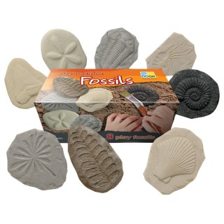 Yellow Door Let's Investigate Fossil Stone, Pack of 8
