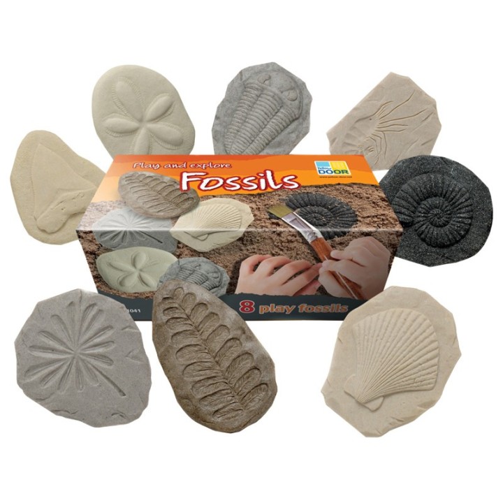 Yellow Door Let's Investigate Fossil Stone, Pack of 8