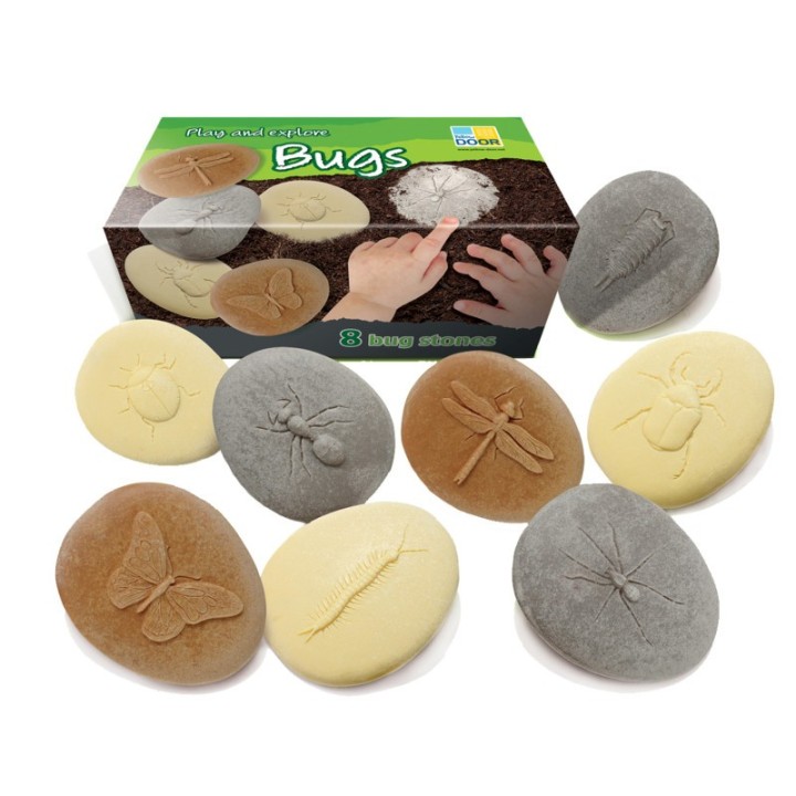 Yellow Door Let's Investigate Bugs Stone, Pack of 8
