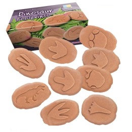 Yellow Door Let's Investigate Dinosaur Footprints