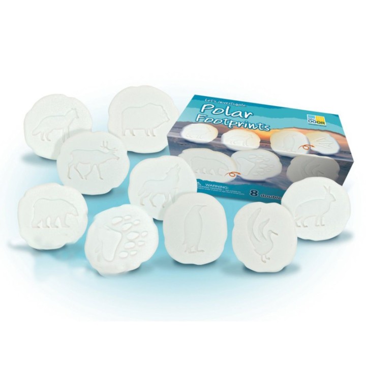 Yellow Door Let's Investigate Polar Footprints, Set of 8