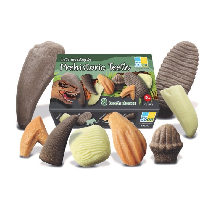 Yellow Door Let's Investigate – Prehistoric Teeth, Set of 8